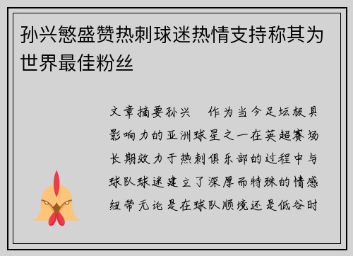 孙兴慜盛赞热刺球迷热情支持称其为世界最佳粉丝